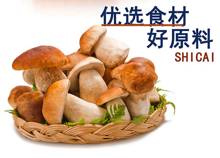 公司提供貼牌定制，免費送技術(shù)的服務(wù)，開店無需大廚，簡易操作，快速標準化出餐。產(chǎn)品咨詢熱線：0537-3630366